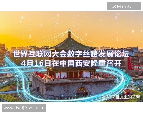 深圳排球队运营分析：成功经验与面临挑战的深度探讨