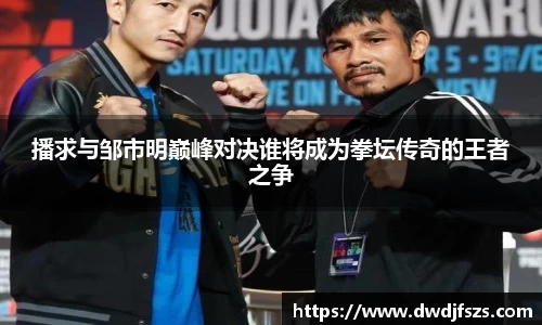 333体育专属指南