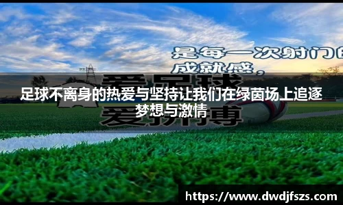 333体育赛事平台